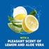 Washing up Liquid 450ml - Lemon & Aloe Vera